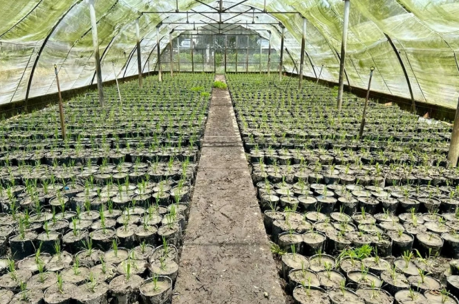 25,000 rice pots for 2026 Viet Nam International Rice Festival